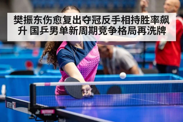樊振东伤愈复出夺冠反手相持胜率飙升 国乒男单新周期竞争格局再洗牌